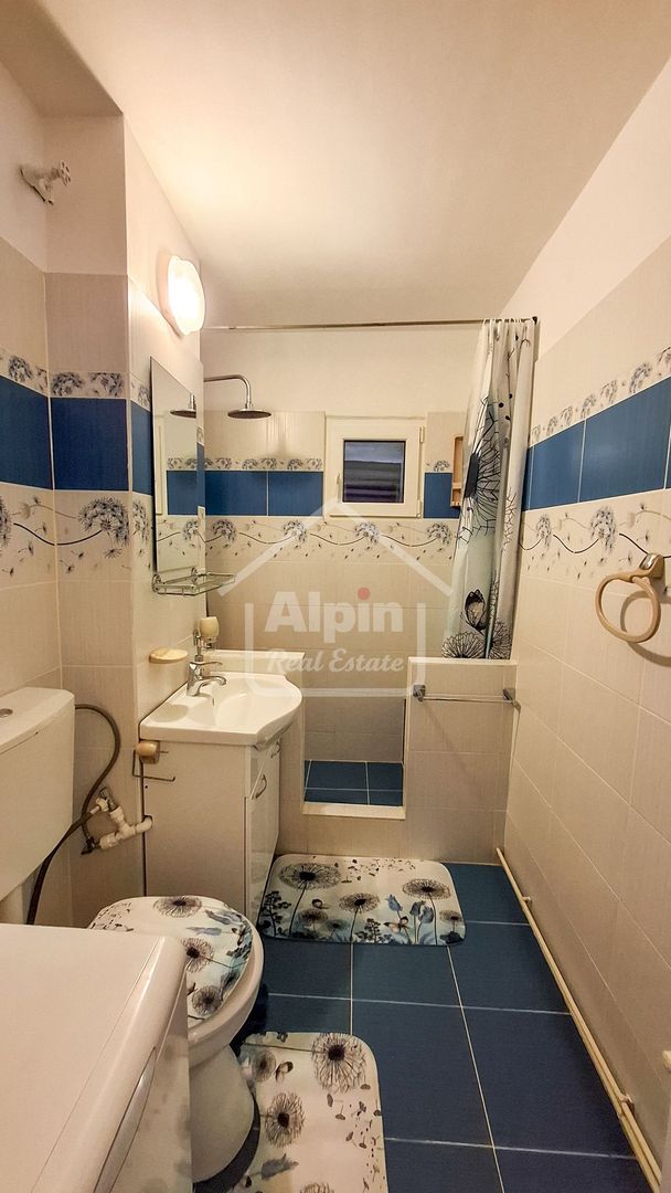 Suprafata Generoasa I Zona Gemenii - Poză 26