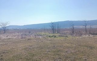 Teren arabil 1 ha în Cilibiu, Golaiesti - Poză 4