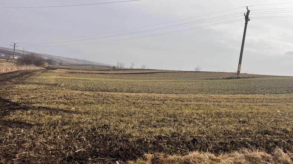 Teren Intravilan de Vânzare 33 Ari | Suceava/Ipotesti I 75.900 Euro - Poză 5