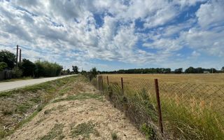 Teren Intravilan 1 ha – Acces Drum Asfalt | Ideal Rezidențial - Poză 3