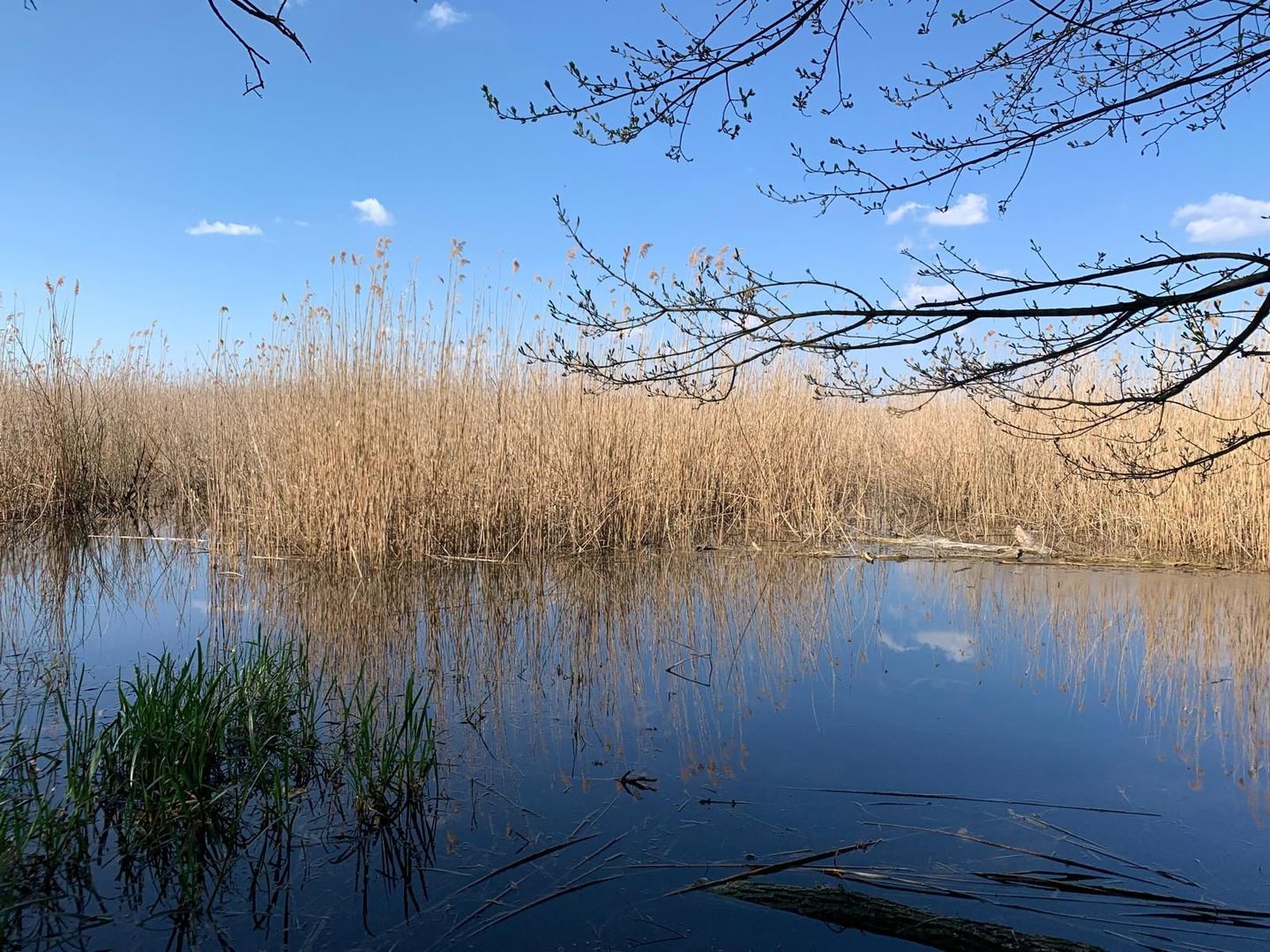 Teren 2000 mp de vânzare – Comana, deschidere la lac, aproape de Parcu - Poză 1