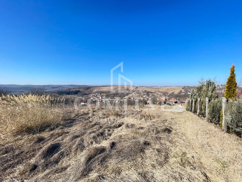 Teren cu potential de investitie 2430 mp si drum de acces - Poză 2