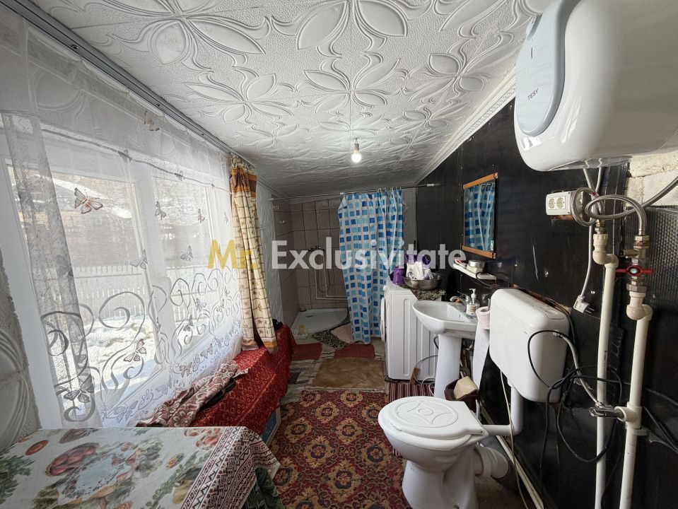 Casa Priboieni - sat Pitoi Arges - Poză 10