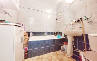 Domenii Ion Mihalache stradal super pret - Poză 14