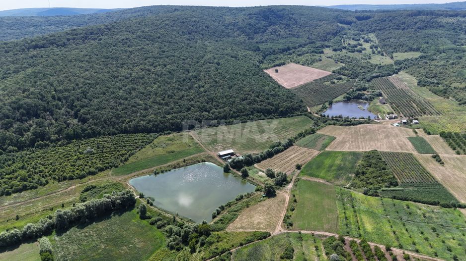Teren de 6.2 Hectare cu Iaz propriu, lângă pădure – Vorniceni, Strășeni! - Poză 8