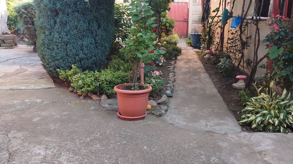 ageuropa.ro vinde casa in zona 14 Mai cu 3 cam. si teren aferent de 500mp. - Poză 6