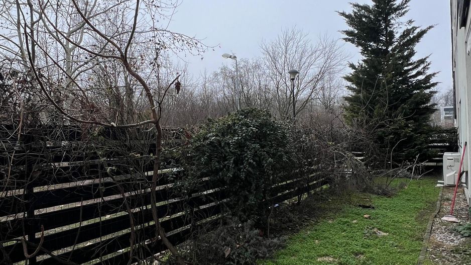 3 camere cu 84 mp de curte | 2 parcari subterane | boxa 8 mp amenajata - Poză 4