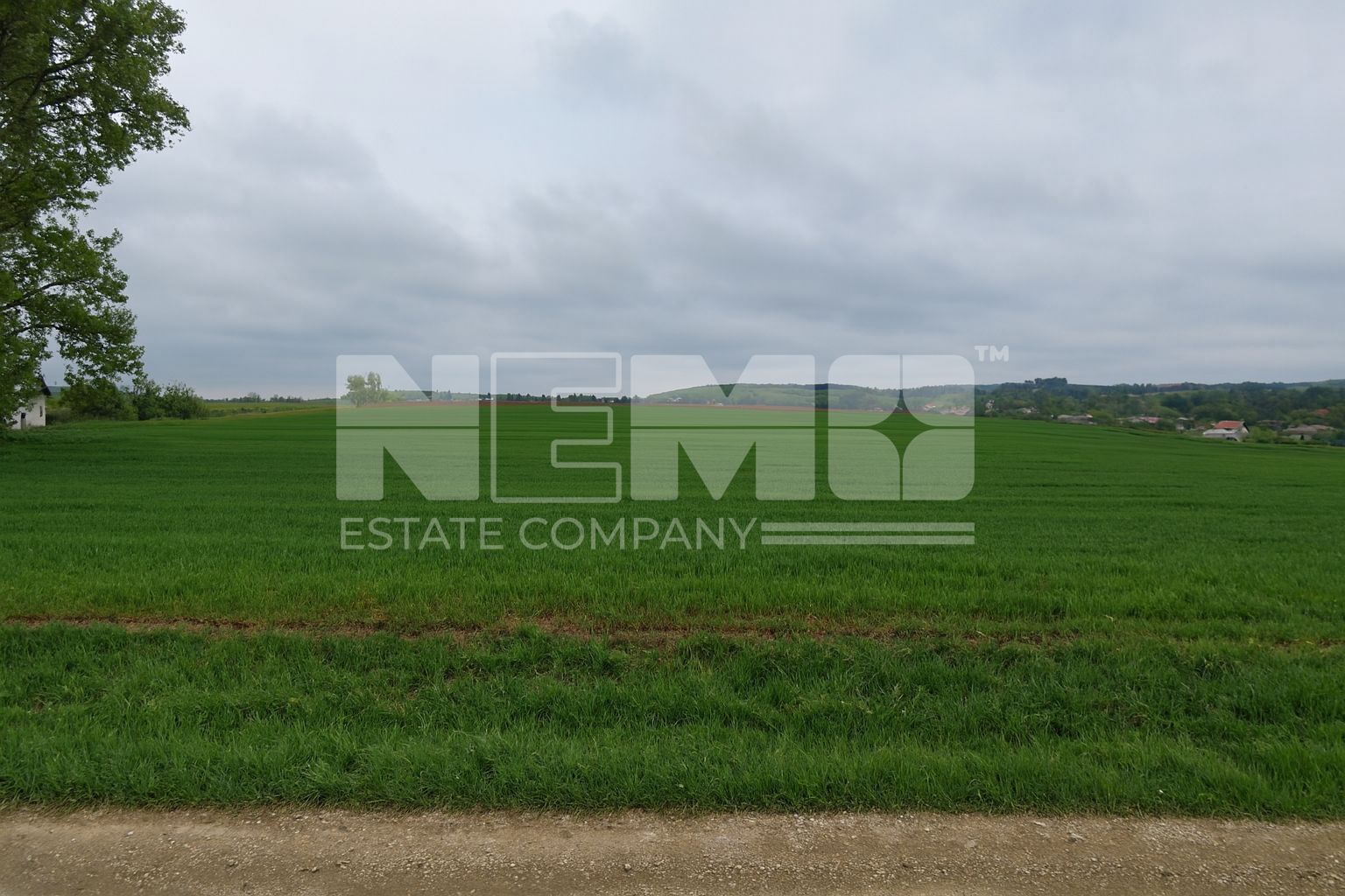 Teren intravilan 3.931 mp | Iacobești | Investiție excelentă - Poză 6