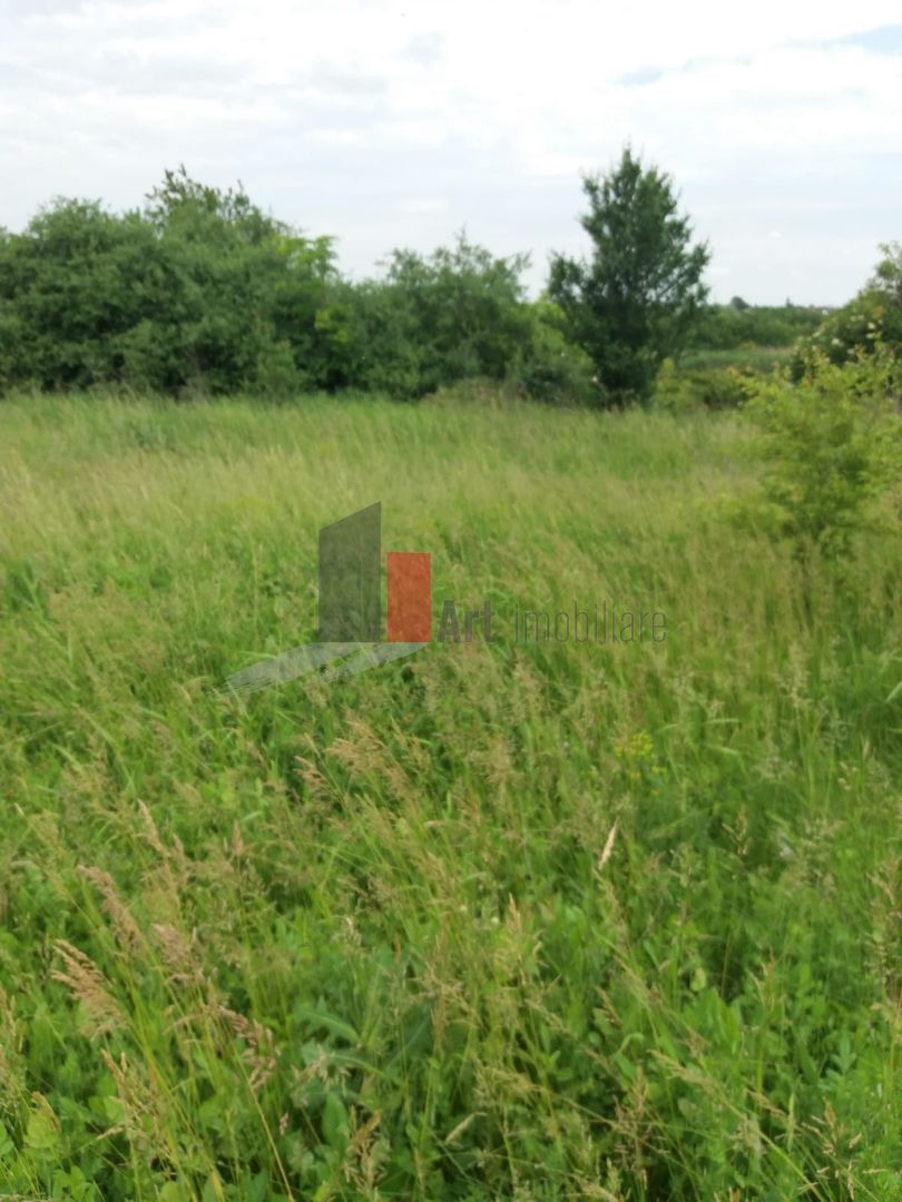 Teren Buftea cu iesire la lac - Poză 31