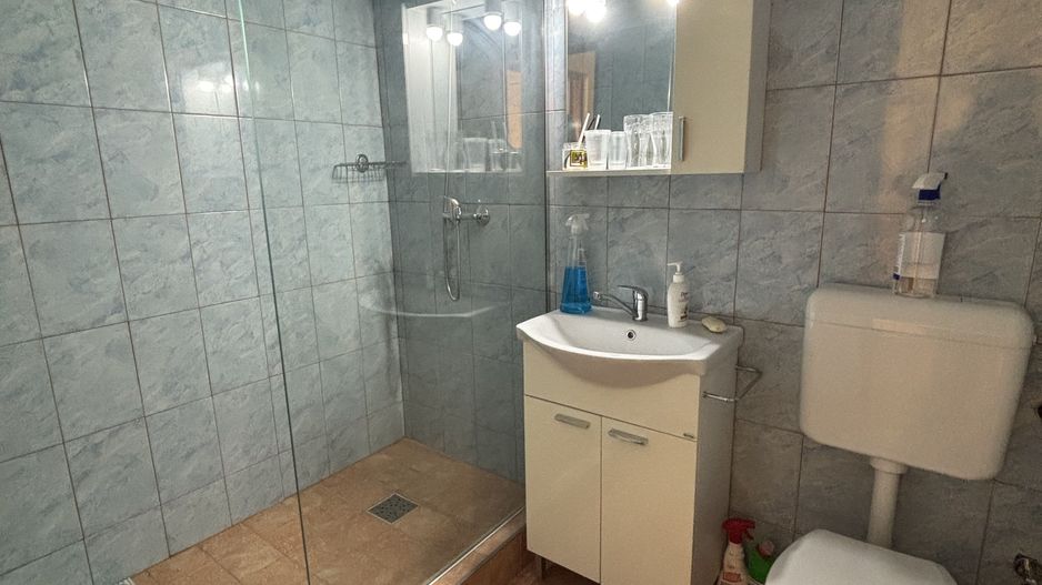 Apartament 1 camera la 10 minute de Iulius Mall - Poză 8