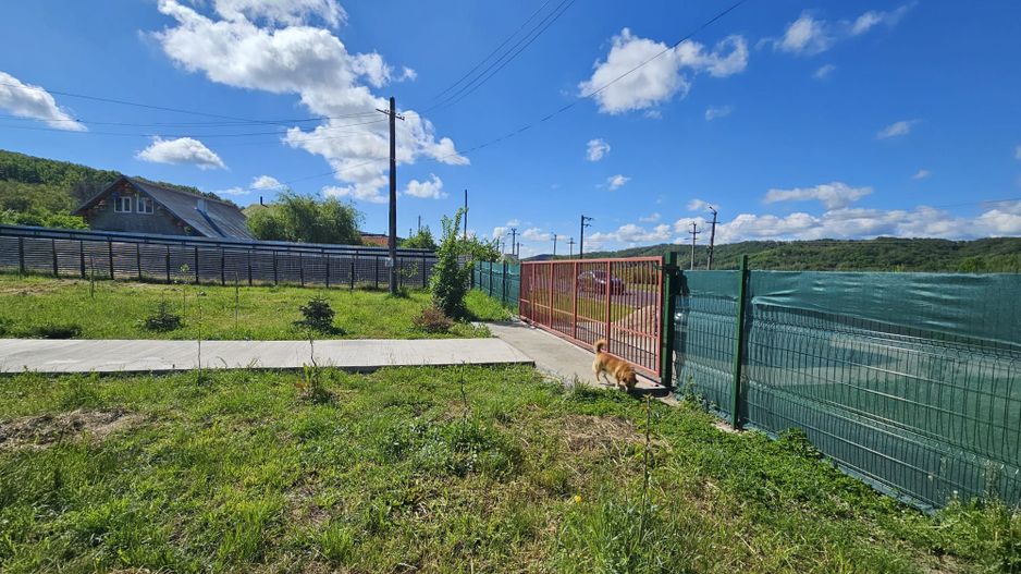 Proprietate deosebită de vânzare – Drăganu, Argeș - Poză 6