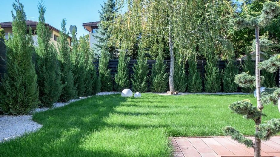 Inchiriere vila 4 camere designer | Corbeanca - Poză 30