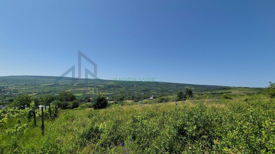 Teren intravilan de vânzare în comuna Tomesti - Poză 2