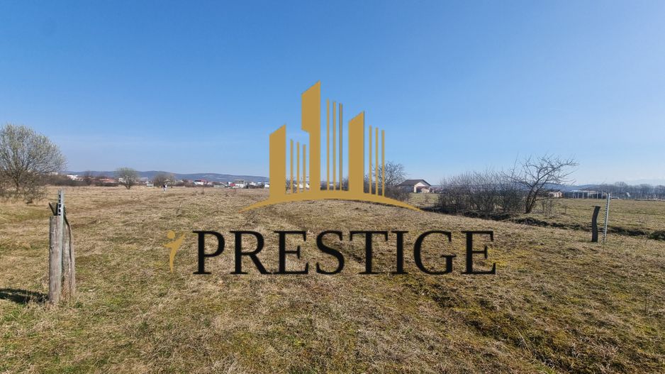 FĂRĂ COMISION | TEREN 1000 MP ȘELIMBĂR ZONA TROIȚĂ | INVESTIȚIE - Poză 10