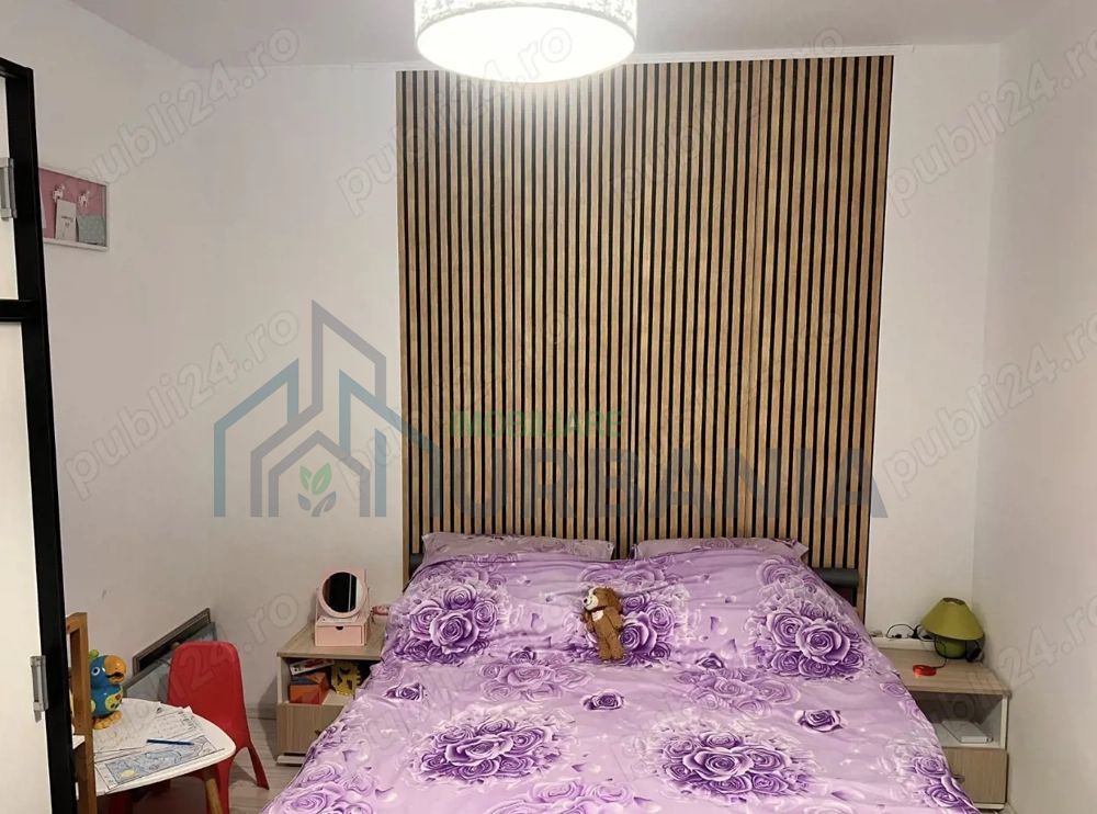 Ap 2 camere Canta Pacurari - Poză 4