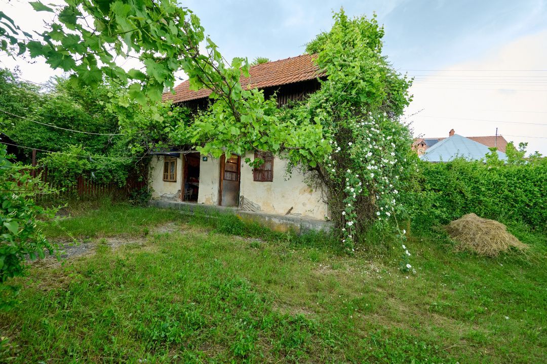 Casa cu teren generos - 4696 mp Apa Sarata - Campulung !! - Poză 23