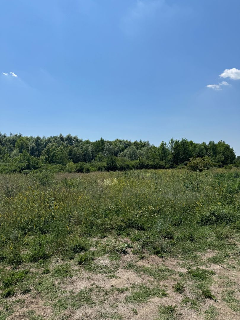 Domnesti - Strada Salciei - Teren intravilan 500 mp x 2 loturi - Poză 6