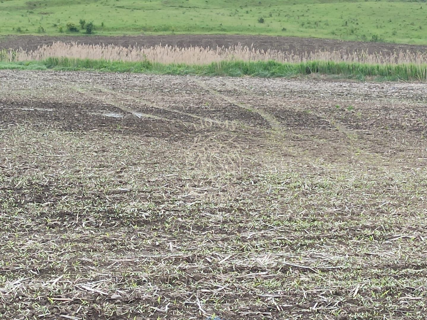 Teren intravilan 1000 mp cu utilitati-ideal casa P+2E-Sarata - Poză 2