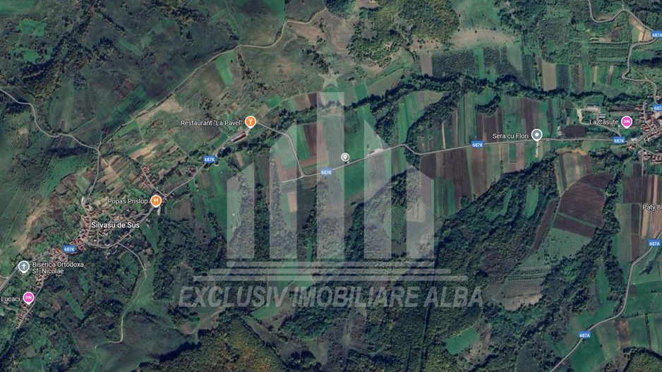 Vând teren 5800mp,  in apropiere de Manastirea Prislop - Poză 4