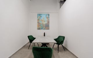 Chirie, spațiu comercial, 440 mp, bd. Decebal, Botanica - Poză 3