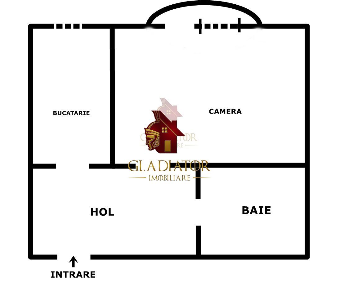 Apartament mare cu 1 camera Pacurari - bloc cu lift, et intermediar - Poză 1