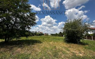 Dumbravita Teren Intravilan 1466mp Front 29m | Langa Padure - Poză 7