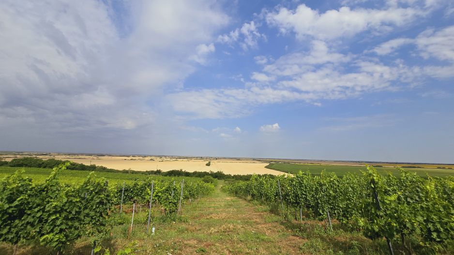 Vie Tradițională „Halta Lupilor” - Poză 17