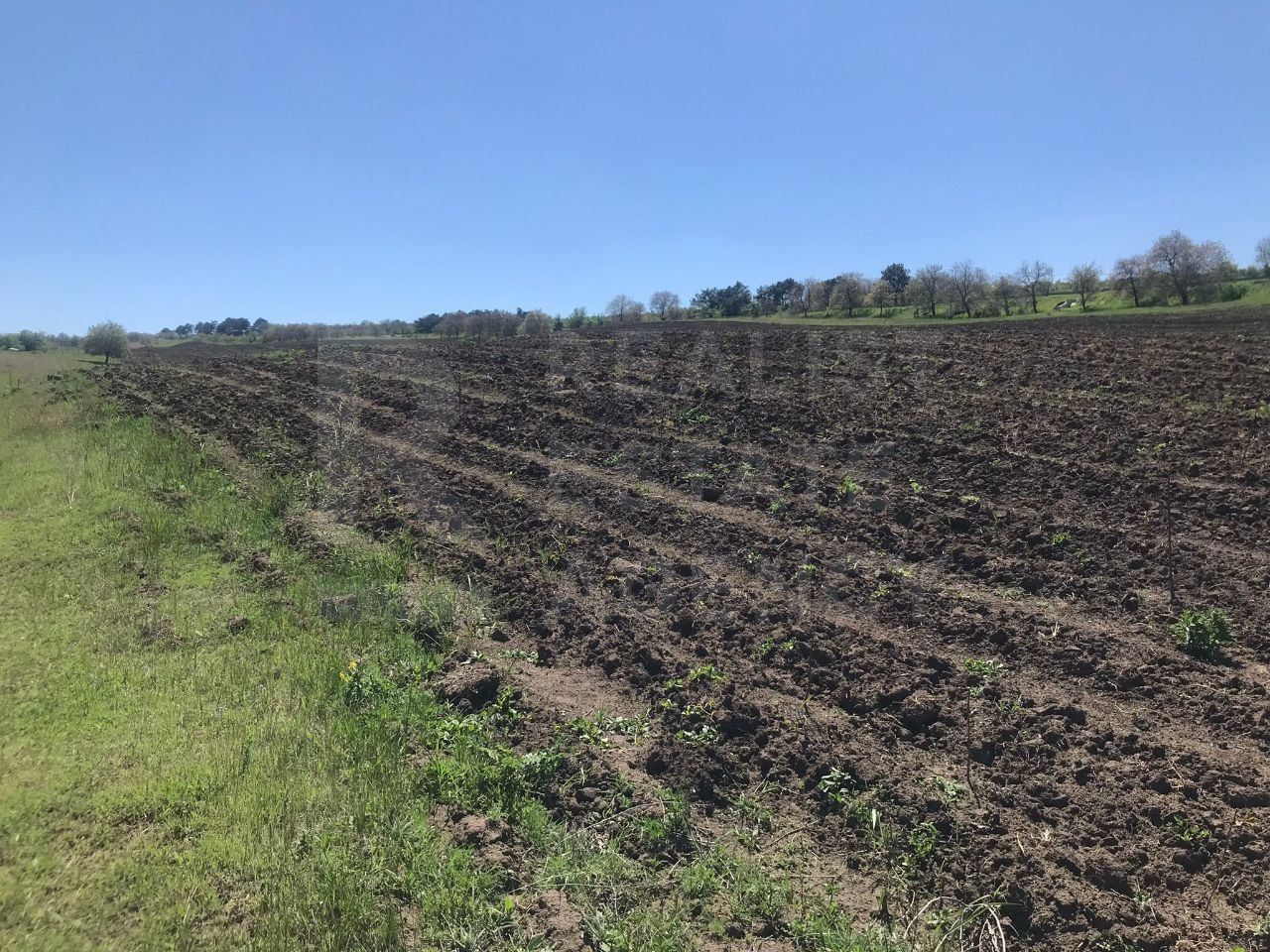 Spre vânzare , teren agricol, 15 ari, com. Bulboaca, Aneni Noi - Poză 8