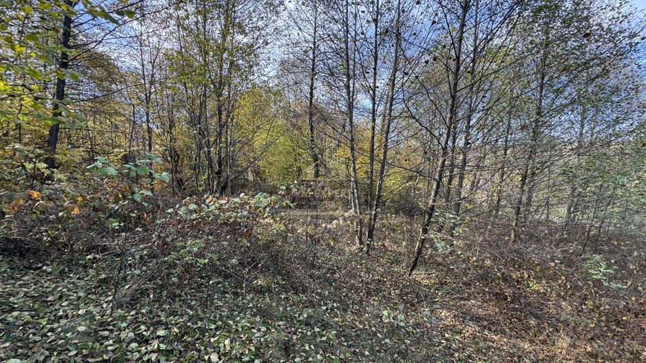 TEREN INTRAVILAN 13167 MP BUGHEA DE SUS ARGES - Poză 30