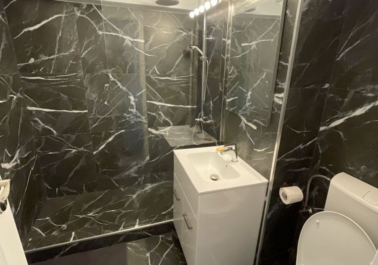 Herastrau Averescu Arc prima inchiriere - Poză 4