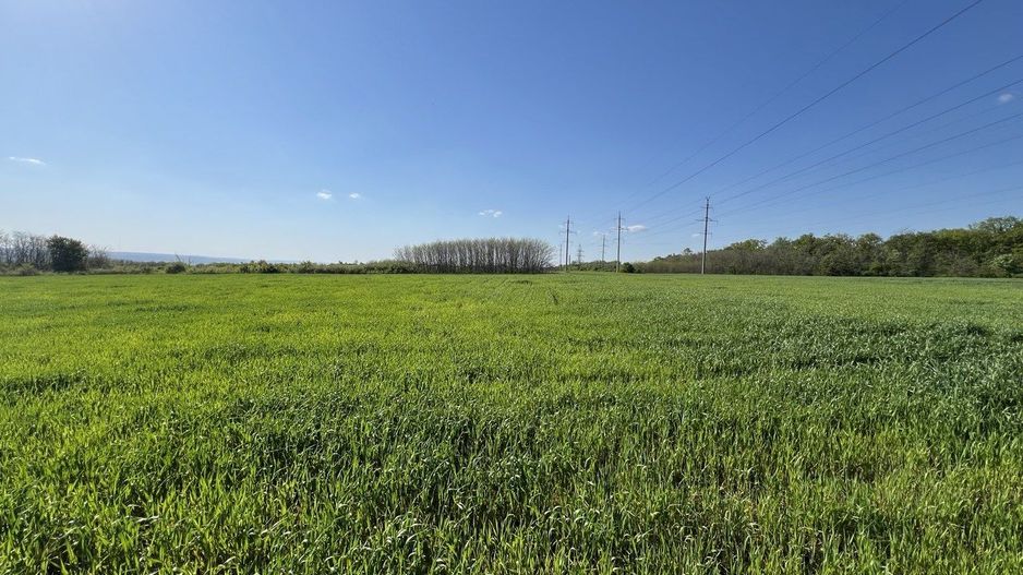 Teren agricol de 24 ari în Ghidighici – aproape de pădure, potrivit pentru investiție sau activitate agricolă - Poză 1