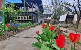 AZURA Imobiliare - Casa Prundu Bananai - Poză 8