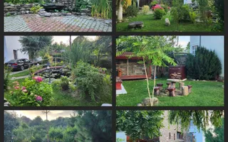 Vila Horezu Romanii de Jos - Poză 24