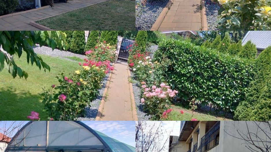 Casa  P+1 - Sat Costi - Poză 1