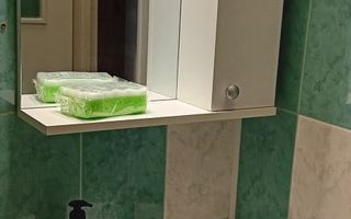 Garsonieră de închiriat în Podul Roș - Palas, Iași, 24 m², mobilată și utilată - Poză 5