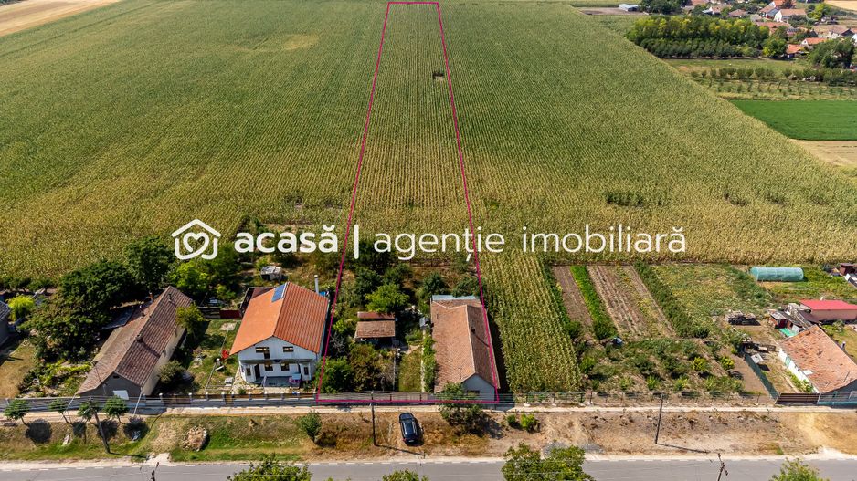 Casă Variasu Mare Jud. Arad cu teren 16883 mp - Poză 1