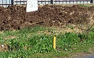 Teren de vânzare în Dascalu, judet Bucuresti Ilfov - Poză 2