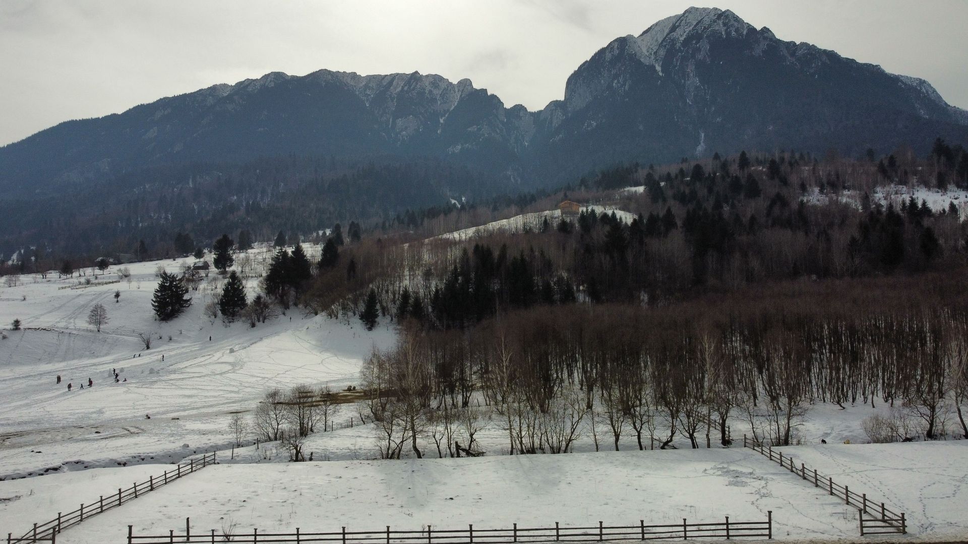 TEREN DE VÂNZARE – ZĂRNEȘTI / PLAIUL FOII – LA ASFALT - 2400 Mp - Poză 2