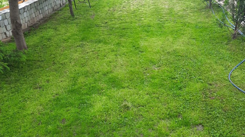 Casă individuală 5 camere,Bălăceanca,Cernica - Poză 6