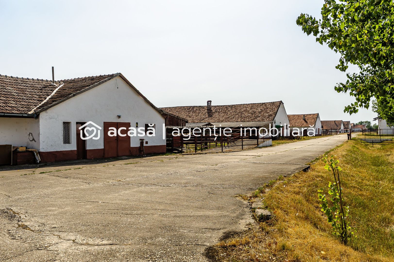 Fermă Mândruloc 2,5 ha - Poză 3