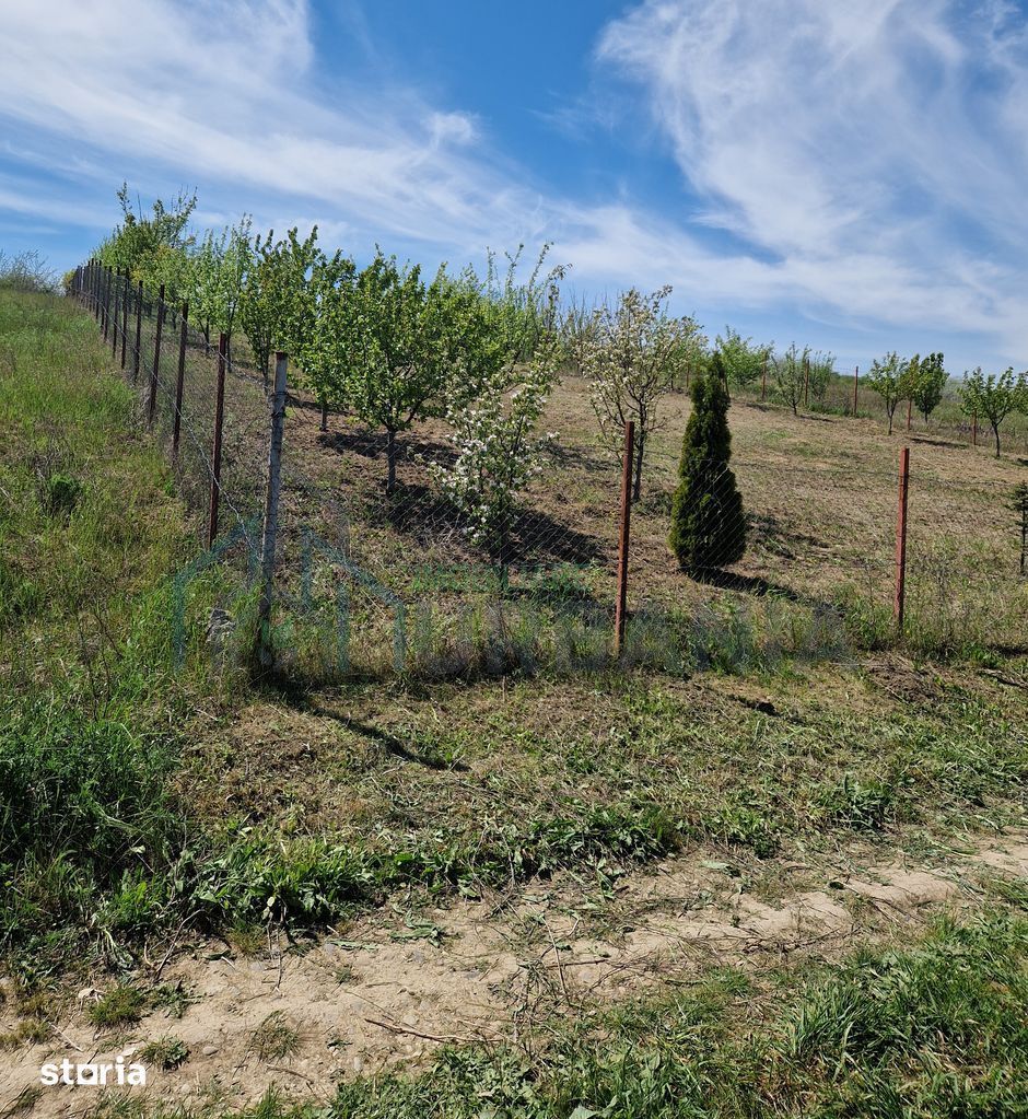 Teren intravilan de vanzare in zona Copou, langa Pensiunea Carolina, Iasi - Poză 2