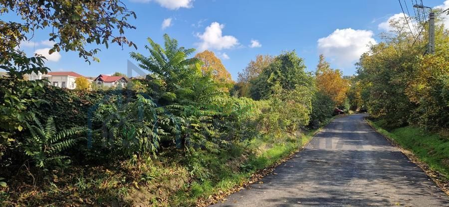 Teren intravilan 5000 mp cu front stradal 50 mp, zona Bucium, Iași - Poză 3