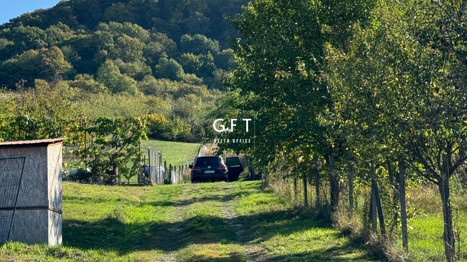 Teren de vanzare, Valea Ghinzii, parcele de 5-6 ari - Poză 9