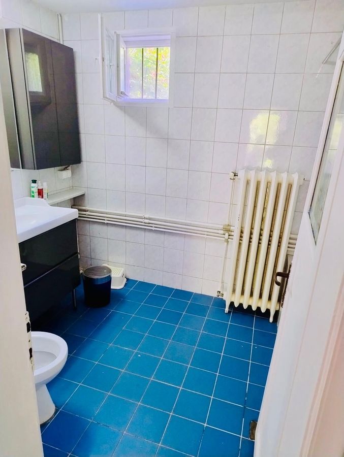 Apartament in vila / Domenii- Herăstrău - Poză 6