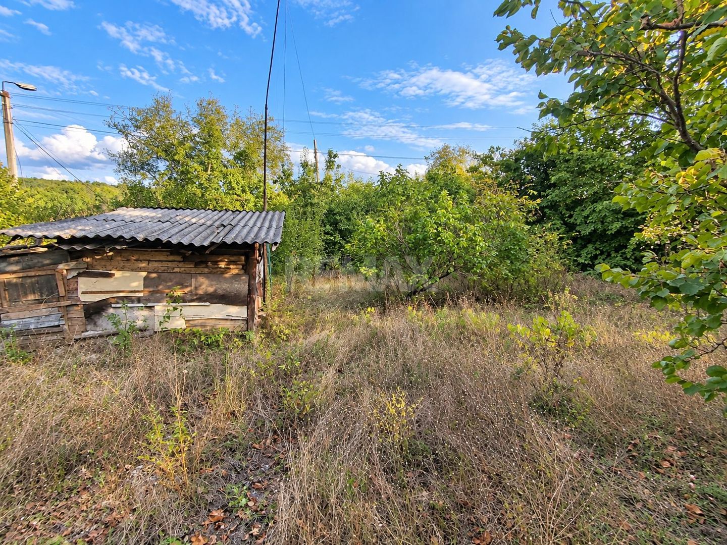 LOT POMICOL DE VÂNZARE – 5,7 ARI | IALOVENI  Î.P. „Floare-Carpet - Poză 9