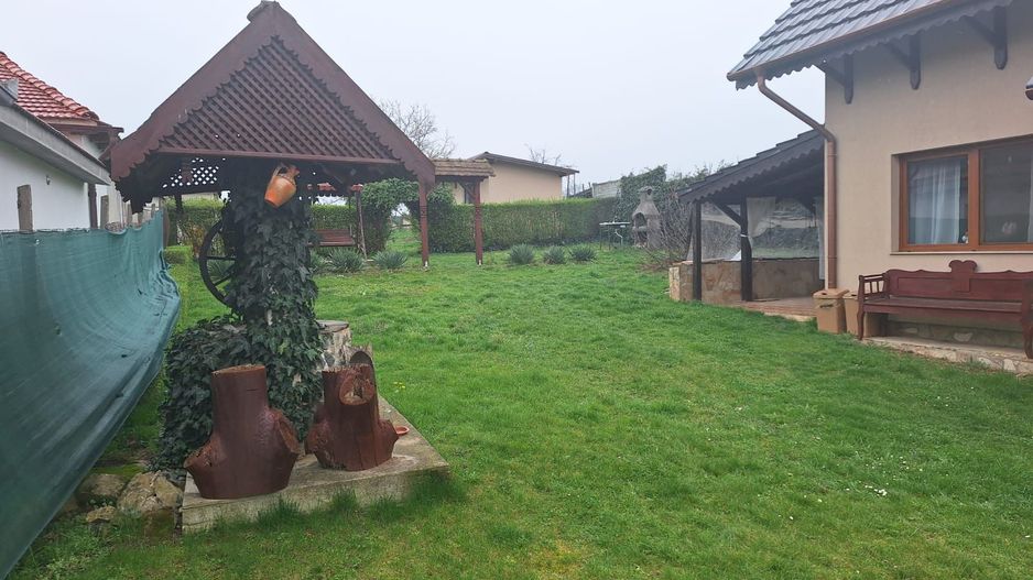 Oaza de liniste in Sacadat, teren generos de 3262m2-127.800 euro neg - Poză 3