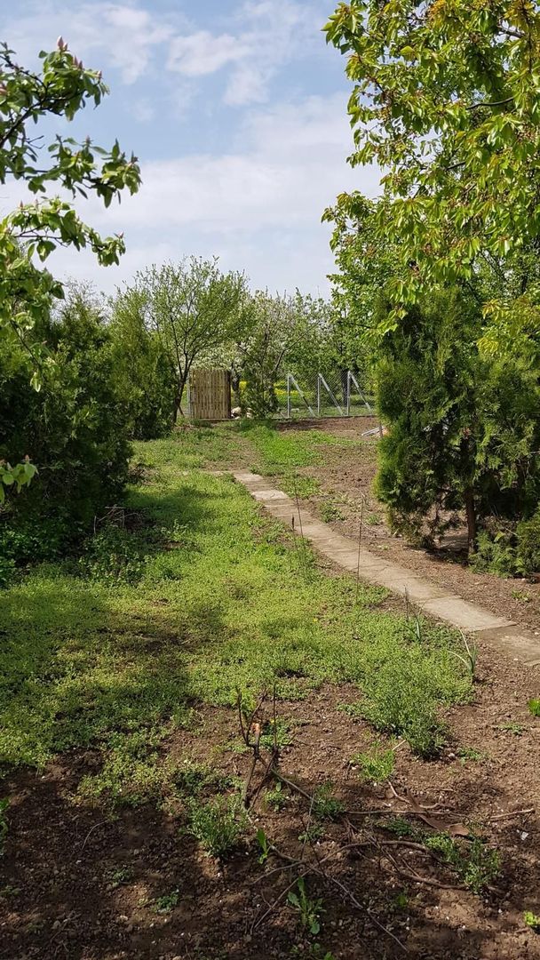 Teren 2.600 mp, utilități, Str. Merișor – Giurgiu - Poză 13