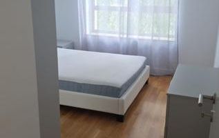 Apartamet Luxuria // Bd Expozitiei. - Poză 4