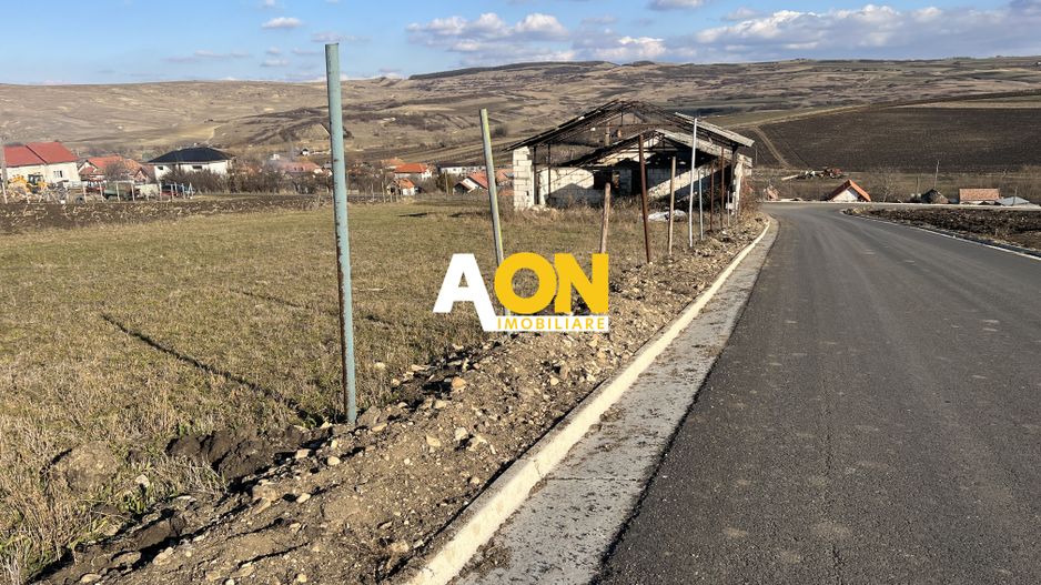 2,314 Mp in Daia Romana, toate utilitatile la asfalt, 80ml deschidere - Poză 4