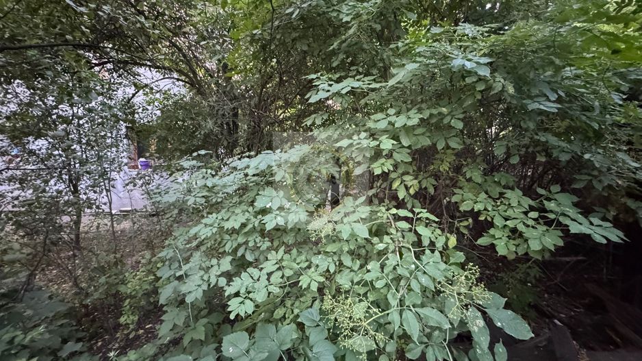 Teren și casă de vânzare în Miercurea Ciuc, zona L1u (strada Leliceni) - Poză 26